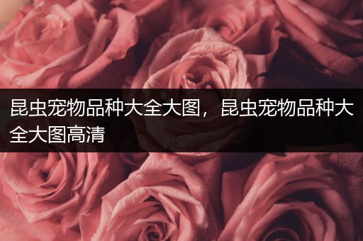 昆虫宠物品种大全大图，昆虫宠物品种大全大图高清
