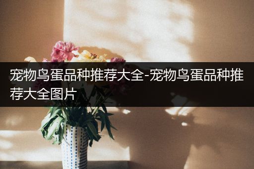 宠物鸟蛋品种推荐大全-宠物鸟蛋品种推荐大全图片