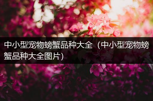 中小型宠物螃蟹品种大全（中小型宠物螃蟹品种大全图片）