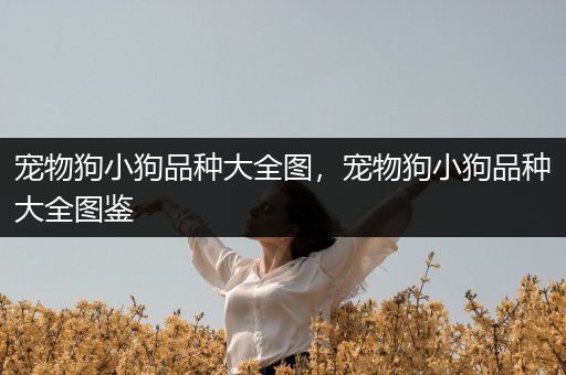 宠物狗小狗品种大全图，宠物狗小狗品种大全图鉴