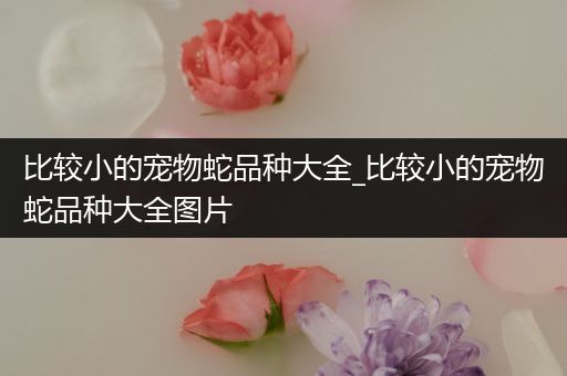 比较小的宠物蛇品种大全_比较小的宠物蛇品种大全图片