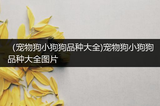 （宠物狗小狗狗品种大全)宠物狗小狗狗品种大全图片