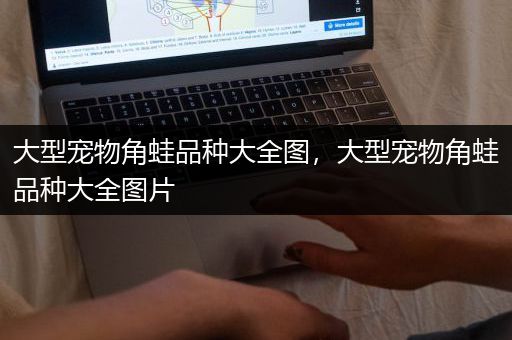 大型宠物角蛙品种大全图，大型宠物角蛙品种大全图片