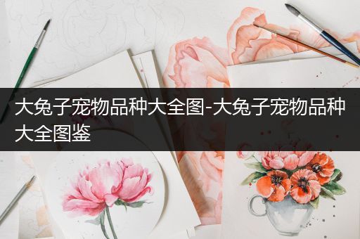 大兔子宠物品种大全图-大兔子宠物品种大全图鉴
