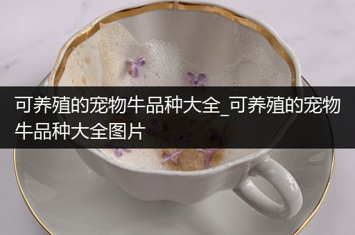 可养殖的宠物牛品种大全_可养殖的宠物牛品种大全图片