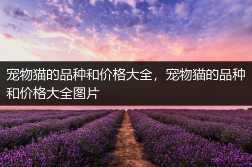 宠物猫的品种和价格大全，宠物猫的品种和价格大全图片