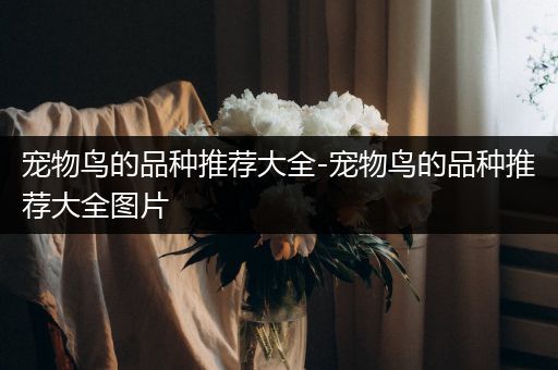 宠物鸟的品种推荐大全-宠物鸟的品种推荐大全图片