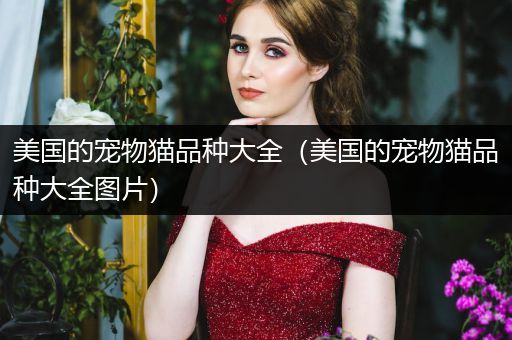 美国的宠物猫品种大全（美国的宠物猫品种大全图片）