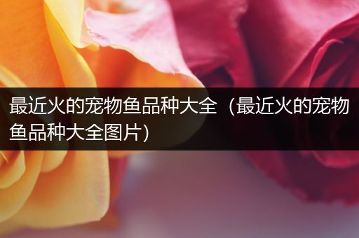 最近火的宠物鱼品种大全（最近火的宠物鱼品种大全图片）