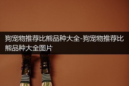 狗宠物推荐比熊品种大全-狗宠物推荐比熊品种大全图片