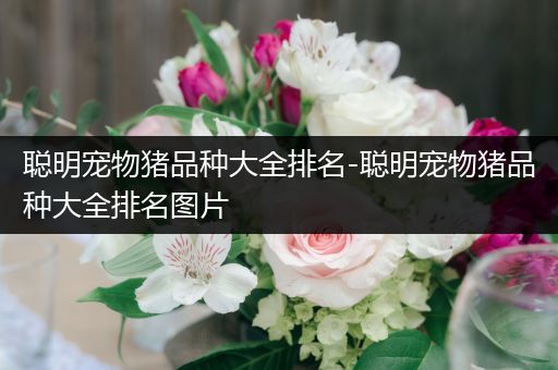 聪明宠物猪品种大全排名-聪明宠物猪品种大全排名图片