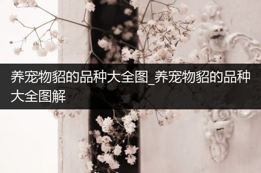 养宠物貂的品种大全图_养宠物貂的品种大全图解