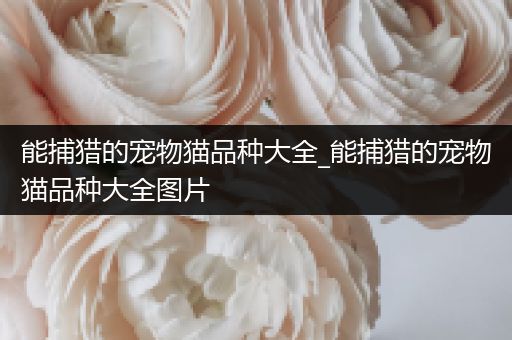 能捕猎的宠物猫品种大全_能捕猎的宠物猫品种大全图片