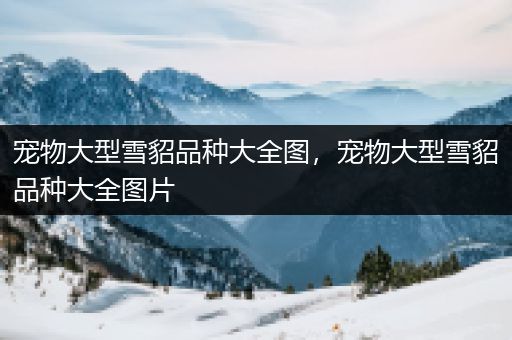 宠物大型雪貂品种大全图，宠物大型雪貂品种大全图片