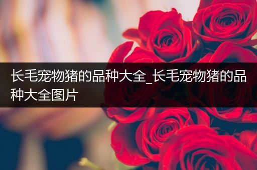 长毛宠物猪的品种大全_长毛宠物猪的品种大全图片
