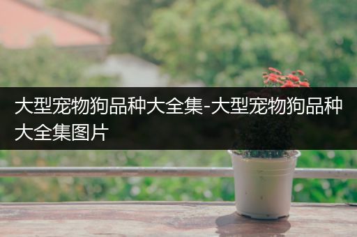 大型宠物狗品种大全集-大型宠物狗品种大全集图片
