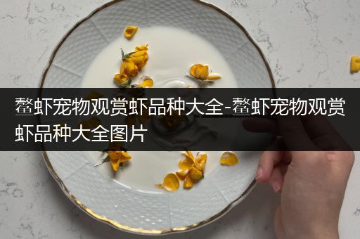 鳌虾宠物观赏虾品种大全-鳌虾宠物观赏虾品种大全图片