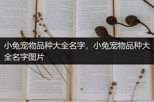 小兔宠物品种大全名字，小兔宠物品种大全名字图片