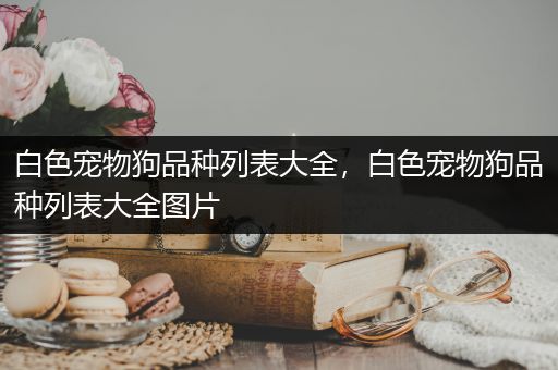 白色宠物狗品种列表大全，白色宠物狗品种列表大全图片