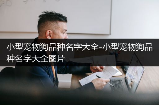 小型宠物狗品种名字大全-小型宠物狗品种名字大全图片