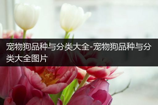 宠物狗品种与分类大全-宠物狗品种与分类大全图片