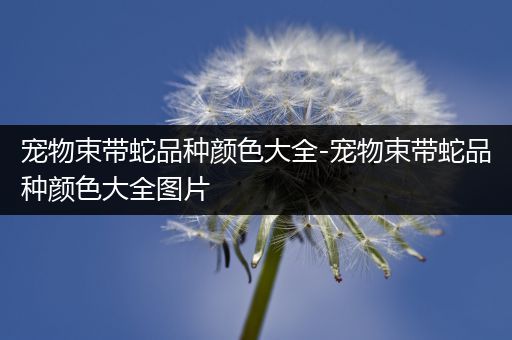 宠物束带蛇品种颜色大全-宠物束带蛇品种颜色大全图片