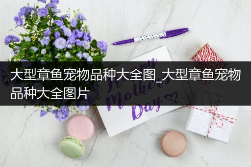 大型章鱼宠物品种大全图_大型章鱼宠物品种大全图片