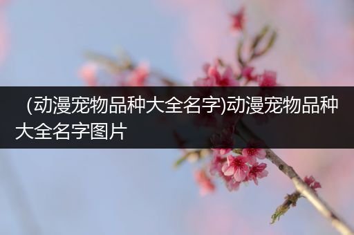 （动漫宠物品种大全名字)动漫宠物品种大全名字图片