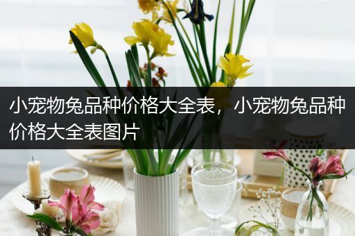 小宠物兔品种价格大全表，小宠物兔品种价格大全表图片