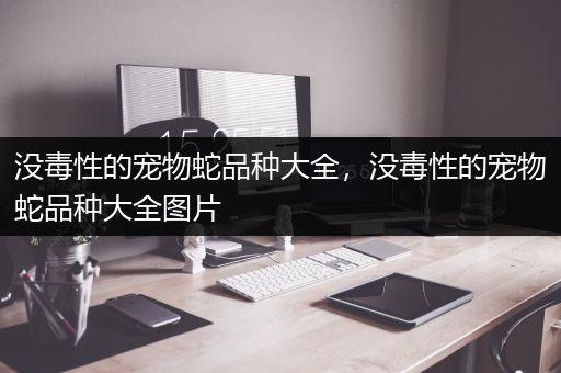 没毒性的宠物蛇品种大全，没毒性的宠物蛇品种大全图片