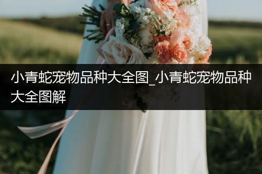 小青蛇宠物品种大全图_小青蛇宠物品种大全图解
