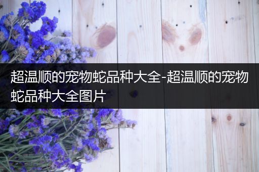 超温顺的宠物蛇品种大全-超温顺的宠物蛇品种大全图片