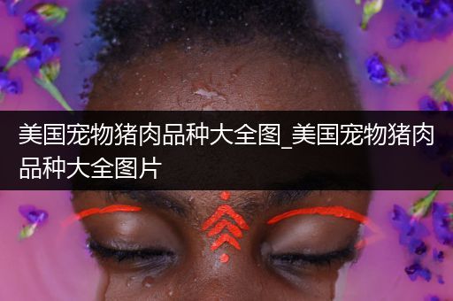 美国宠物猪肉品种大全图_美国宠物猪肉品种大全图片