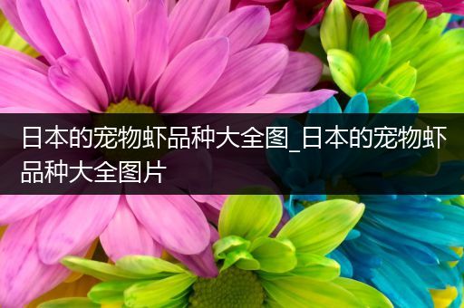 日本的宠物虾品种大全图_日本的宠物虾品种大全图片
