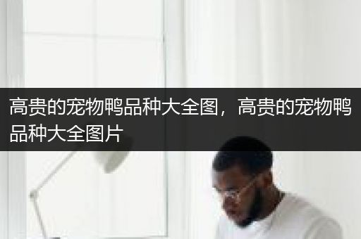 高贵的宠物鸭品种大全图，高贵的宠物鸭品种大全图片