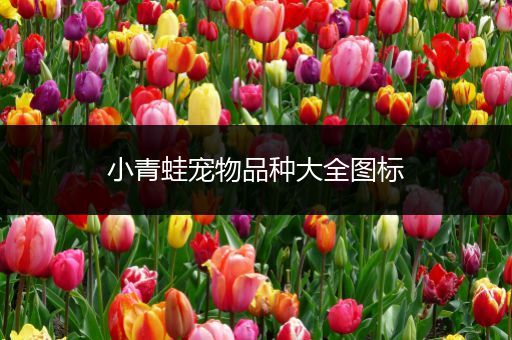 小青蛙宠物品种大全图标