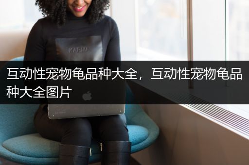 互动性宠物龟品种大全，互动性宠物龟品种大全图片