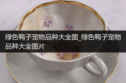 绿色鸭子宠物品种大全图_绿色鸭子宠物品种大全图片