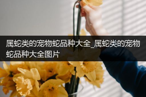 属蛇类的宠物蛇品种大全_属蛇类的宠物蛇品种大全图片