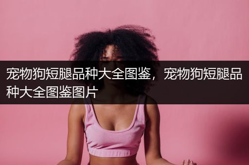 宠物狗短腿品种大全图鉴，宠物狗短腿品种大全图鉴图片