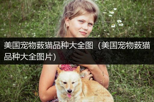 美国宠物薮猫品种大全图（美国宠物薮猫品种大全图片）