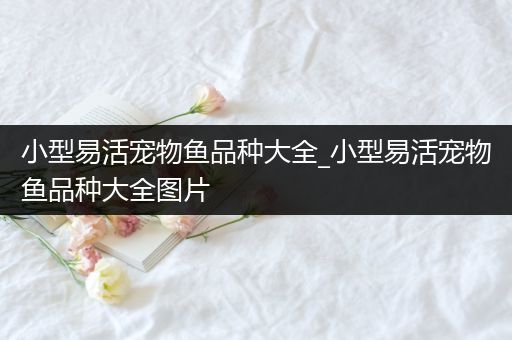 小型易活宠物鱼品种大全_小型易活宠物鱼品种大全图片