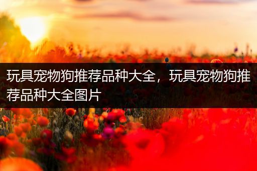 玩具宠物狗推荐品种大全，玩具宠物狗推荐品种大全图片