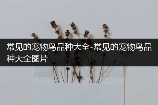 常见的宠物鸟品种大全-常见的宠物鸟品种大全图片