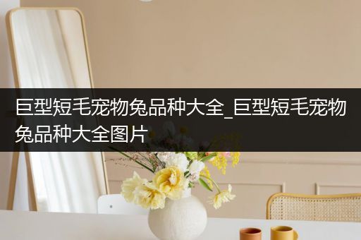 巨型短毛宠物兔品种大全_巨型短毛宠物兔品种大全图片