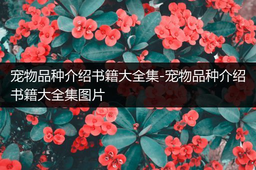 宠物品种介绍书籍大全集-宠物品种介绍书籍大全集图片