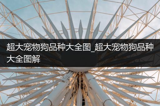 超大宠物狗品种大全图_超大宠物狗品种大全图解