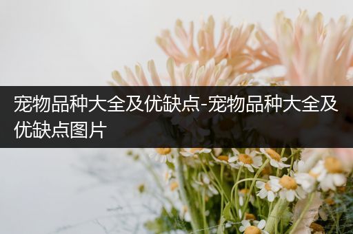 宠物品种大全及优缺点-宠物品种大全及优缺点图片