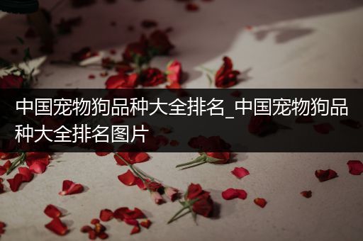 中国宠物狗品种大全排名_中国宠物狗品种大全排名图片