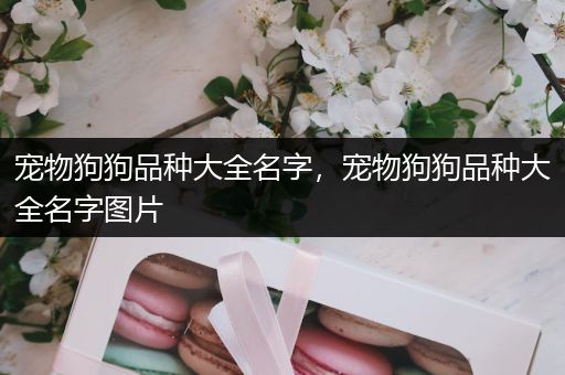 宠物狗狗品种大全名字，宠物狗狗品种大全名字图片